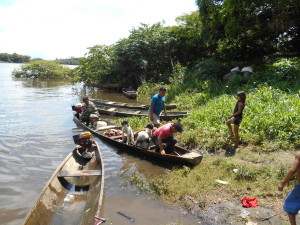 2015-03-30 Cazaram uma anta - tapir -fartura das comunidades (1)