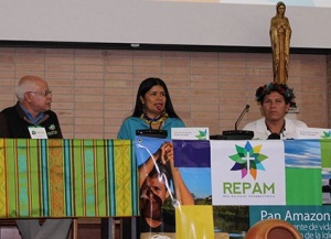 2015_11_indigenas_repam_pom