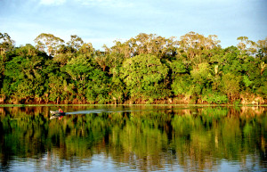 Amazonia 2